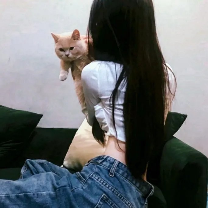 彩虹大盗